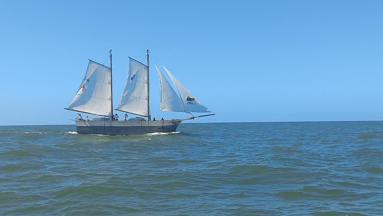 Guaíba Vivo – Educação Ambiental a Bordo do Seival (Experiência em Grupo) - Foto 2